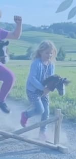 Hobby Horse Training